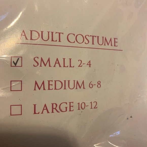 WOMENS HALLOWEEN COSTUME SIZE SMALL(2-4) - Picture 4 of 5